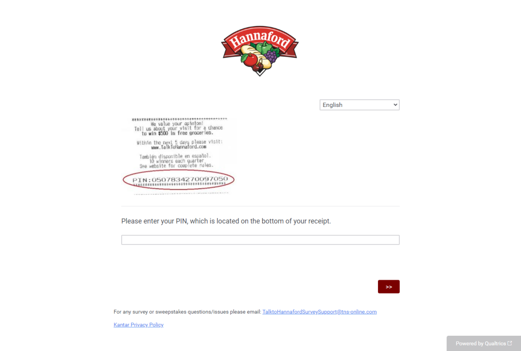 Hannaford customer survey image