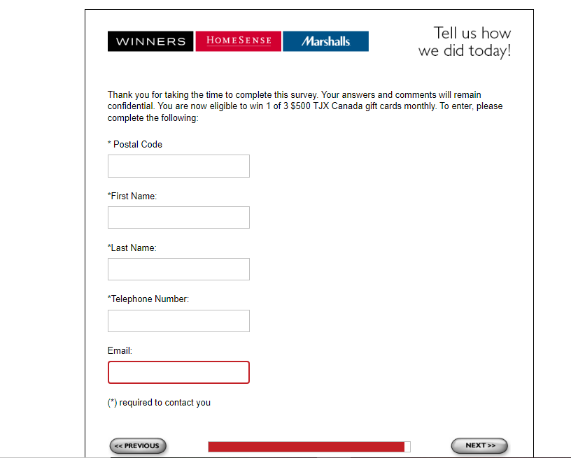 Tjx global survey image