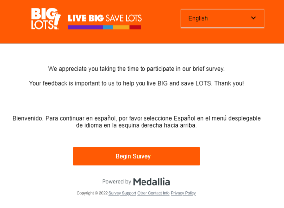 Biglots Customer Survey Image
