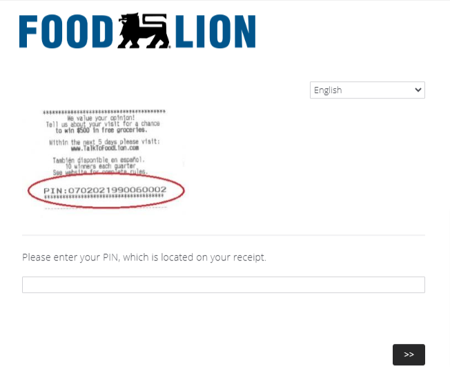 food lion survey image